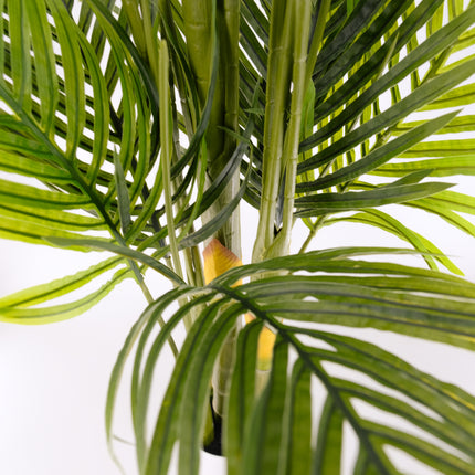 Artificial Palm Tree - 180cm (UV - Outdoor Friendly)