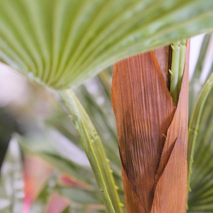 Artificial Fan Palm tree Australia