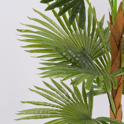 Artificial Fan Palm plant office decor
