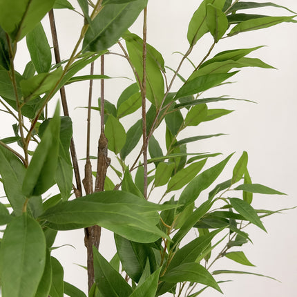 Artificial Plant - Lemon Eucalyptus gum tree - 210cm