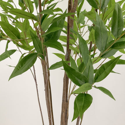 Artificial Plant - Lemon Eucalyptus gum tree - 210cm