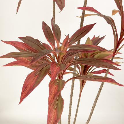 Artificial Plant - Dracaena Tree with red leaves - 180cm