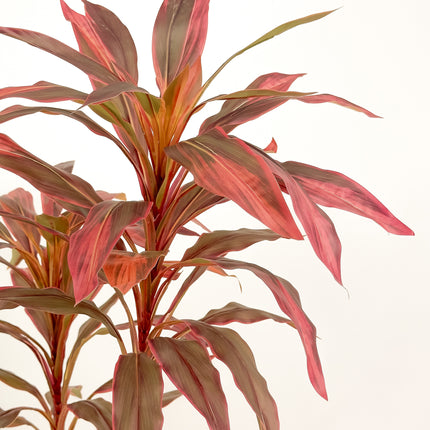 Artificial Plant - Dracaena Tree with red leaves - 180cm