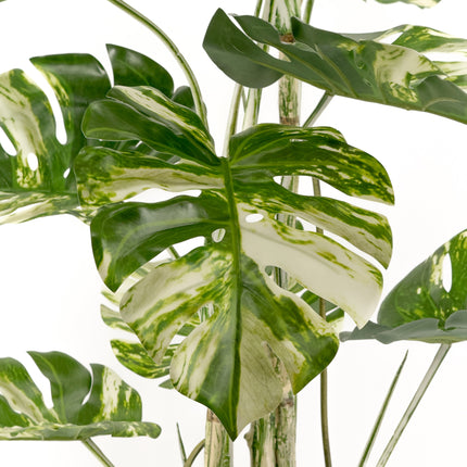 Artificial Plant - Variegated Monstera Deliciosa - 180cm