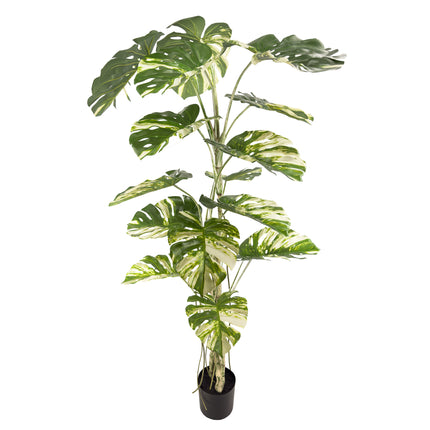 Potted Artificial Plant Variegated Monstera Deliciosa
