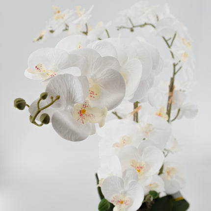 Artificial Plants - Orchid Flower White 85cm