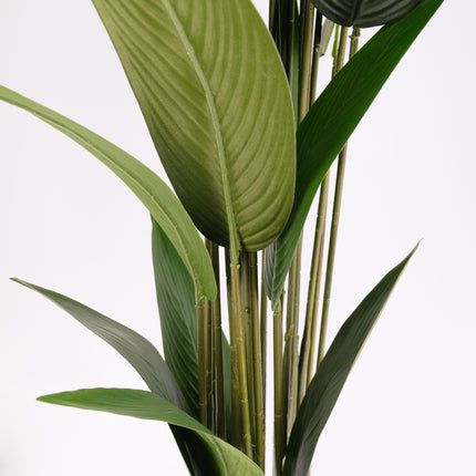 Artificial Plant - Bird of Paradise Tree 180cm