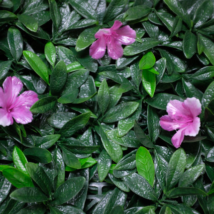 Artificial Hedge - Pink Petal 50x50cm