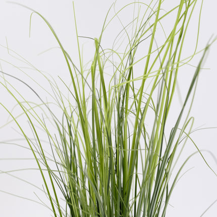 Artificial Onion Grass 110cm