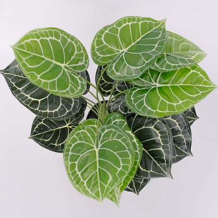 Artificial Plant Taro Leaf Australia