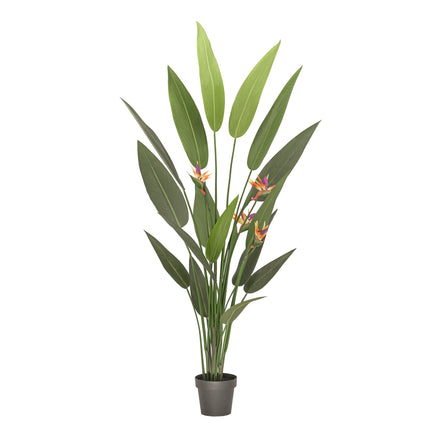 Potted Artificial flowering bird of paradise plant 180cm