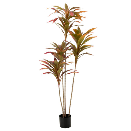 Artificial Plant - 150cm tall Dracaena plant with red leaves