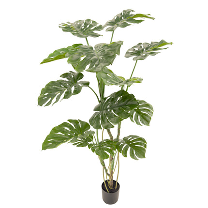 Artificial Plant - 150cm tall Monstera Deliciosa