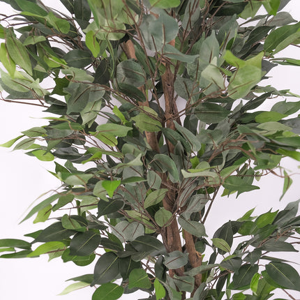 Artificial Plants - Ficus Tree 180cm