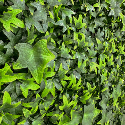 Artificial Hedge - English Ivy - 50cm x 50cm