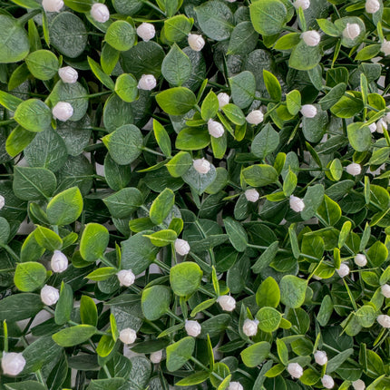 Artificial Hedge - White Berry Hypericum - 50cm x 50cm