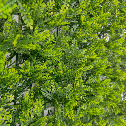 Artificial Hedge - Mimosa Fern - 50cm x 50cm