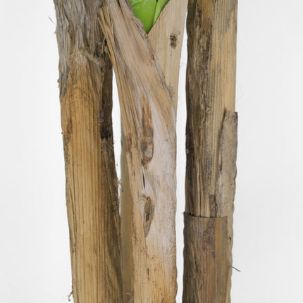 Artificial Banana Tree - 180cm