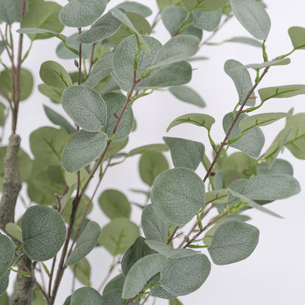 Artificial Eucalyptus Tree – Silver Dollar Gum 170cm