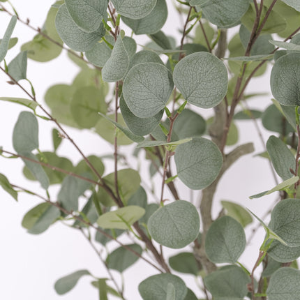 Artificial Eucalyptus Tree – Silver Dollar Gum 170cm