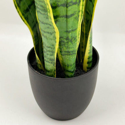 Artificial Plants - Sansevieria 47cm