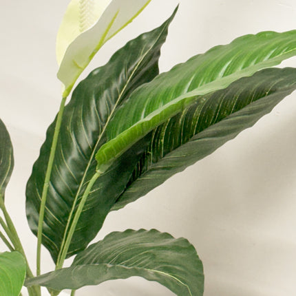 Artificial Plant - Anthurium White 55cm