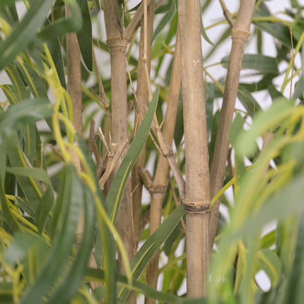 Artificial Bamboo Plant - 180cm