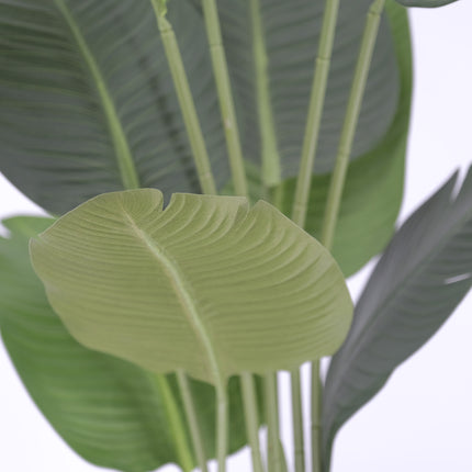 Artificial Bird of Paradise Plant - 160cm