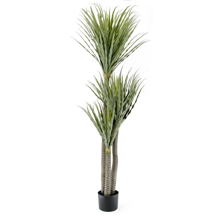 Artificial Plant - Yucca Tree
