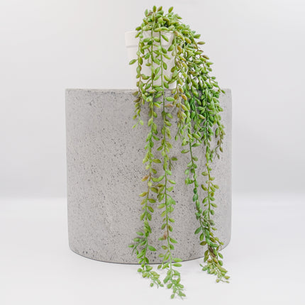 Carton of 8 - Artificial Plants - String of Pearls Trailing - 55cm
