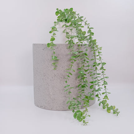 Carton of 8 - Artificial Plants - Eucalyptus Trailing - 55cm