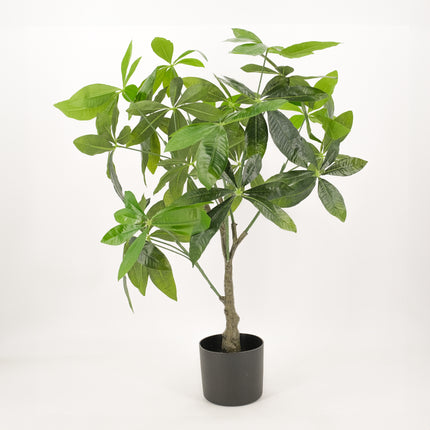 Potted Artificial Fortune (Money) Tree