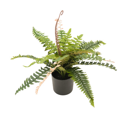 Artificial Plant - Potted Boston Fern