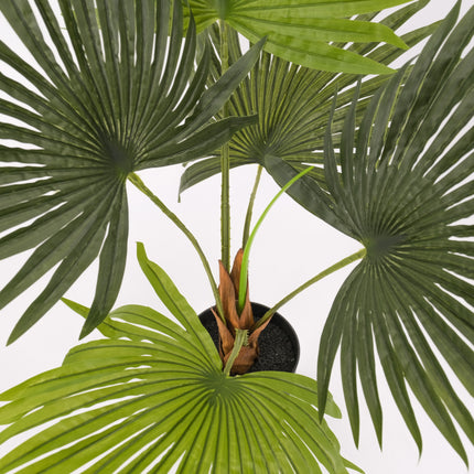 Artificial Fan Palm