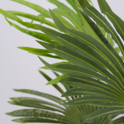 Fake plant Fan Palm