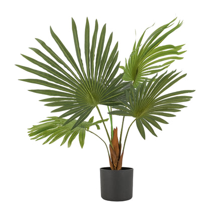 Artificial Fan Palm plant in black pot