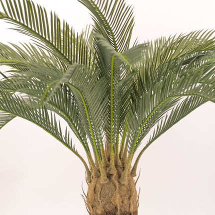 Artificial Cycad Palm Plant Australia