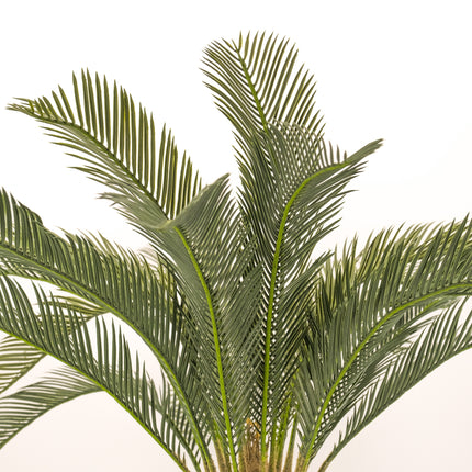 Artificial Cycad Palm Plant Melbourne