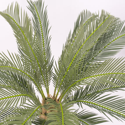 Artificial Cycad Palm Plant Sydney