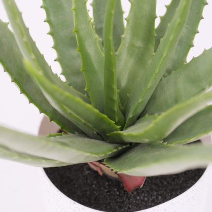 Artificial Aloe Plant - 45cm