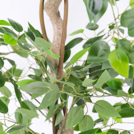Artificial Ficus Tree with Japanese Fruticosa Style