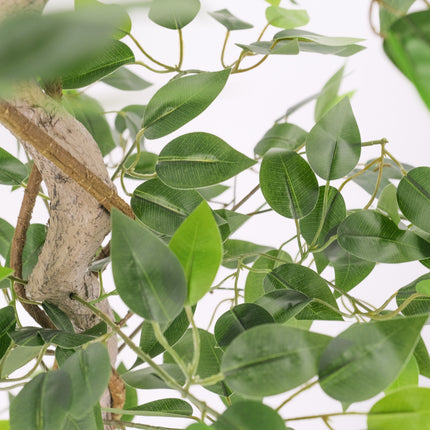 Trunk Artificial Japanese Fruticosa Style Tree