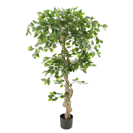 Artificial Ficus Tree with Twisted Trunk
