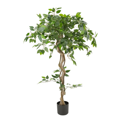 Twisted Japanese Fruticosa Style Ficus Artificial Tree