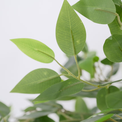 Artificial Ficus Tree leaf