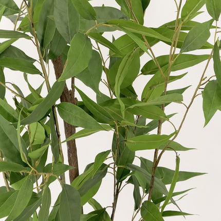 Artificial Plant - Lemon Eucalyptus gum tree - 150cm