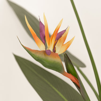 Artificial Plant flowering bird of paradise 120cm
