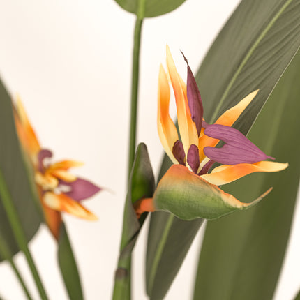 Artificial Plant flowering bird of paradise 150cm