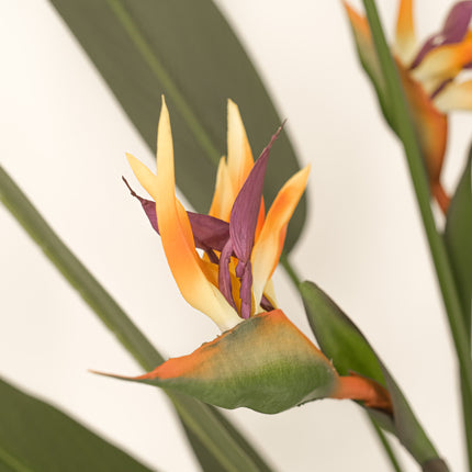Artificial Plant flowering bird of paradise 150cm