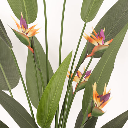 Artificial Plant flowering bird of paradise 180cm